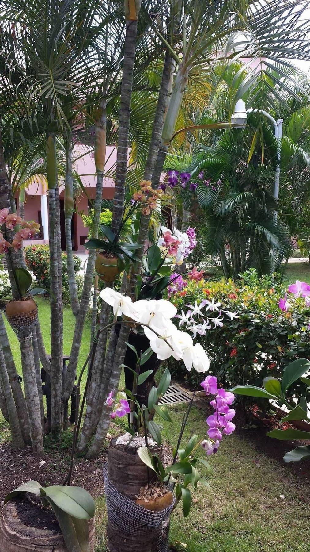 Soficu Hotel El Eden Dominicus Bayahibe Exteriör bild